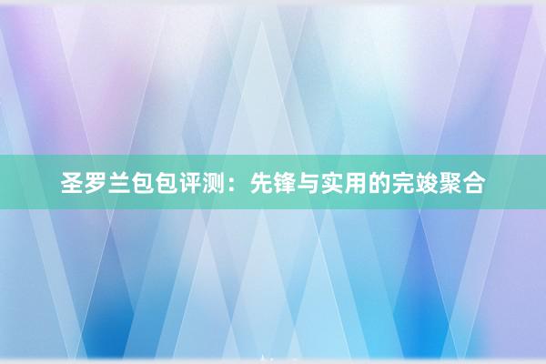 圣罗兰包包评测：先锋与实用的完竣聚合